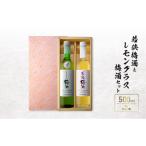 お酒 リキュール 若狭梅酒とレモングラス梅酒セット 500ml×2