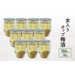 お酒 リキュール 実入りカップ梅酒 10本入