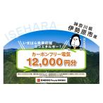 電気 電力 地域電力 カーボンフリー電気 12 000円分