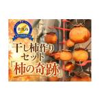 果物類 柿 佐渡産 おけさ柿 干し柿作りセット