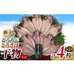 干物 アジ 藤文のにっぽんの干物セット あじ