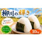 米 先行受付 ブレンド米 10kg