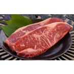 牛肉 サーロイン むなかた牛サーロインステーキ250g×2枚