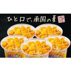 菓子 アイス 3営業日発送 フローズン ドリンク
