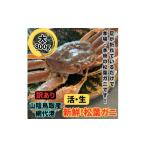 カニ ずわいガニ さかなや新鮮組 訳あり 活松葉ガニ