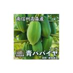野菜類 南信州高森産 青パパイヤ 1kg