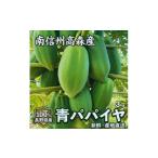 野菜類 南信州高森産 青パパイヤ 3kg