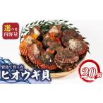 魚貝類 ホタテ ヒオウギ貝 20個