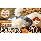 米 コシヒカリ 定期便2回 令和8年産 こしひかり 20kg