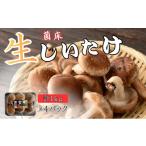 fu.... налог овощи вид .. . Kyoto (столичный округ) юг . город . пол сырой ..[..] сырой ...... .1kg Kyoto (столичный округ) юг . город 
