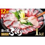 海の匠 ブリ スキンレスロイン 1kg