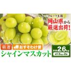 シャインマスカット 計約2.6kg 約1.3kg