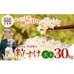 玄米 新米 令和8年産 小山野産 粒すけ 30kg