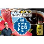 マグロ 宮城主役ごはんセットC 生 本マグロ
