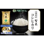 米 コシヒカリ 定期便3回 令和7年産 産コシヒカリ