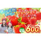 いちご 定期2回 定期便 とちあいか&とちおとめ