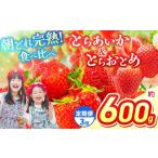 いちご 定期3回 定期便 とちあいか&とちおとめ