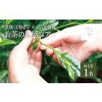 お茶の五感ツアー 大人1名