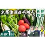 セット 詰合せ 新鮮 旬の野菜セット 7~10品目