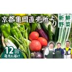 セット 詰合せ 12回定期便 朝採れ 野菜詰め合わせセット