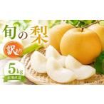 ふるさと納税 果物類 茨城県 筑西市 梨 訳あり 旬の梨 5kg (8〜14玉) なし ナシ 先行予約 茨城県産 梨産地 あきづき 秋月 にっこり おまかせ 和梨 5キロ 1箱 …