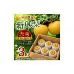梨 三ツ田農園 新興梨 赤秀 3kg