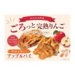 焼菓子 チョコレート アップルパイ MINAKAMI