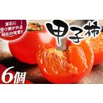 果物類 柿 fc-80-002 甲子柿 6個