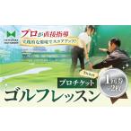 レッスンプロチケット 1回券 50分 ×2枚
