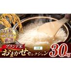 令和8年産 森のくまさん 白米 30kg