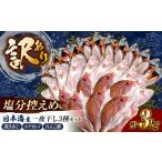 干物 アジ 減塩 訳あり 一夜干しセット 計3kg