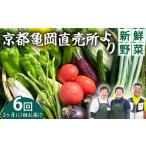 セット 詰合せ 6回定期便 2ヶ月に1回 野菜