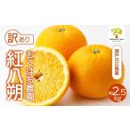 みかん 柑橘類 〈訳あり〉 紅八朔 2.5kg