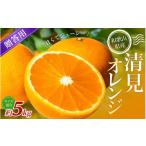 みかん 柑橘類 森本農園の手選別 清見オレンジ 約5kg