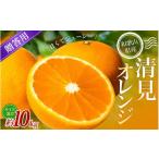 みかん 柑橘類 森本農園の手選別 清見オレンジ 約10kg