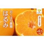 果物類 みかん はるみ 4.5kg