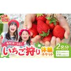 体験チケット いちご狩り体験チケット 大人1名