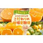 みかん 柑橘類 こだわり 柑橘 定期便 ひだまりみかん家