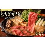 牛肉 共通返礼品 訳あり とちぎ和牛 切り落とし300g