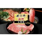 牛肉 ステーキ 飛騨牛 満喫定期便 全3回 すき焼き