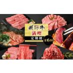牛肉 ステーキ 飛騨牛 満喫定期便 全6回 すき焼き