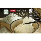 米 コシヒカリ 2回定期便 こしひかり 和知のお米 5kg