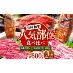 牛肉 焼肉 バーベキュー 南 9回定期便 長崎和牛
