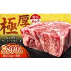 牛肉 サーロイン 令和8年熊本地震復興支援