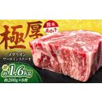 牛肉 サーロイン 令和8年熊本地震復興支援