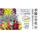 メディア出演多数のプロが厳選 季節の草花