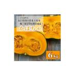 野菜類 甘い粉質系 かぼちゃ 6kg