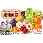 果物の詰合せ 諫早産 旬の野菜&フルーツ詰め合わせ