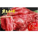 牛肉 焼肉 バーベキュー 6回定期便 訳あり