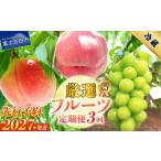 厳選 旬のフルーツ定期便 桃2kg×2回配送